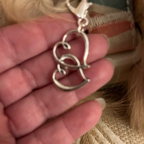 ❤️Silver double heart pet charm - Picture 3 of 6